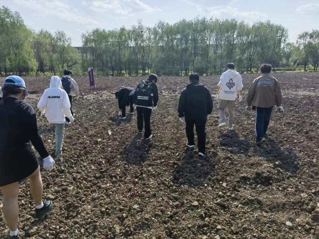 a片网站
